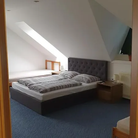 홈스테이 Veszprem Room
